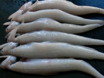 黑心商家添加甲醛讓蝦蟲孱“保鮮”？