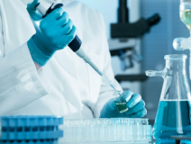 綠植真的能除甲醛嗎？