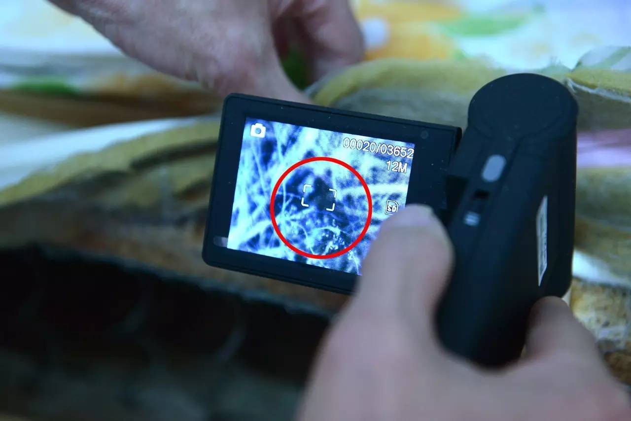 南京美女睡了10年的床墊，掀開(kāi)后把全家人都嚇傻了……