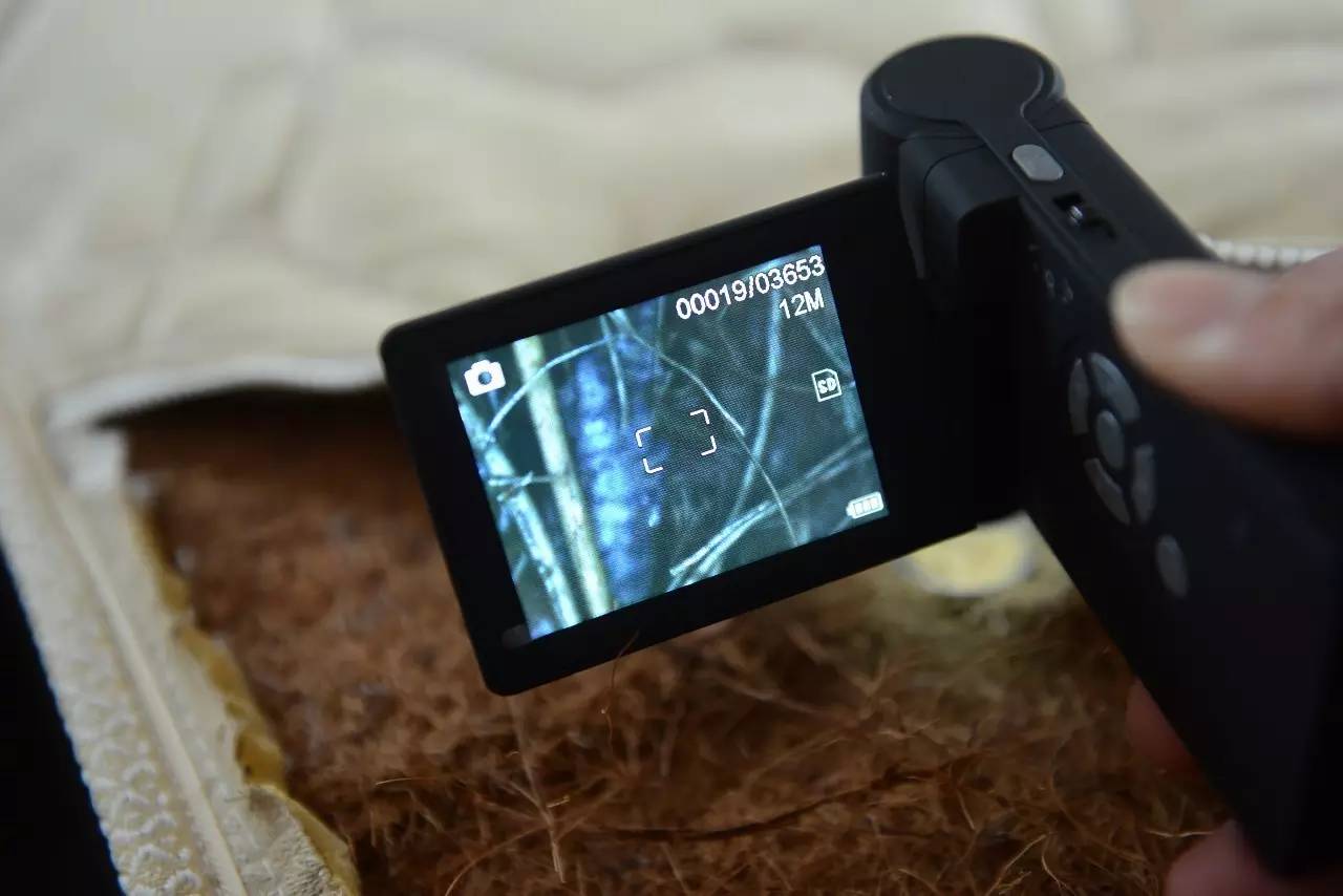 南京美女睡了10年的床墊，掀開(kāi)后把全家人都嚇傻了……