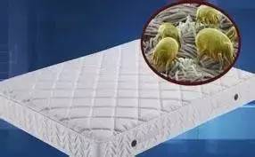 南京美女睡了10年的床墊，掀開(kāi)后把全家人都嚇傻了……