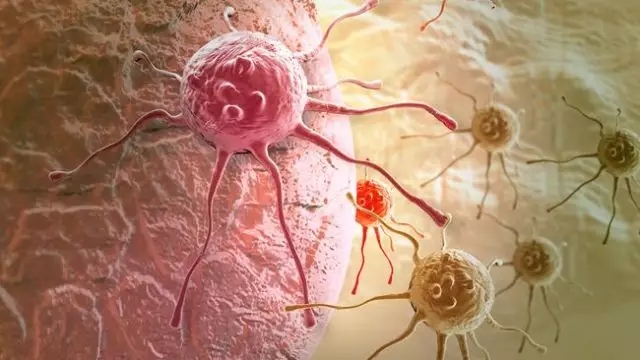 癌癥、白血病越來越多，是因為時代在進步而導(dǎo)致的嗎？