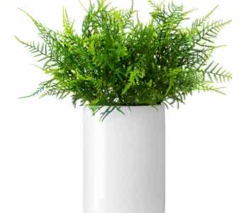 除了找除甲醛公司尋求幫助，還有什么辦法可以去毒