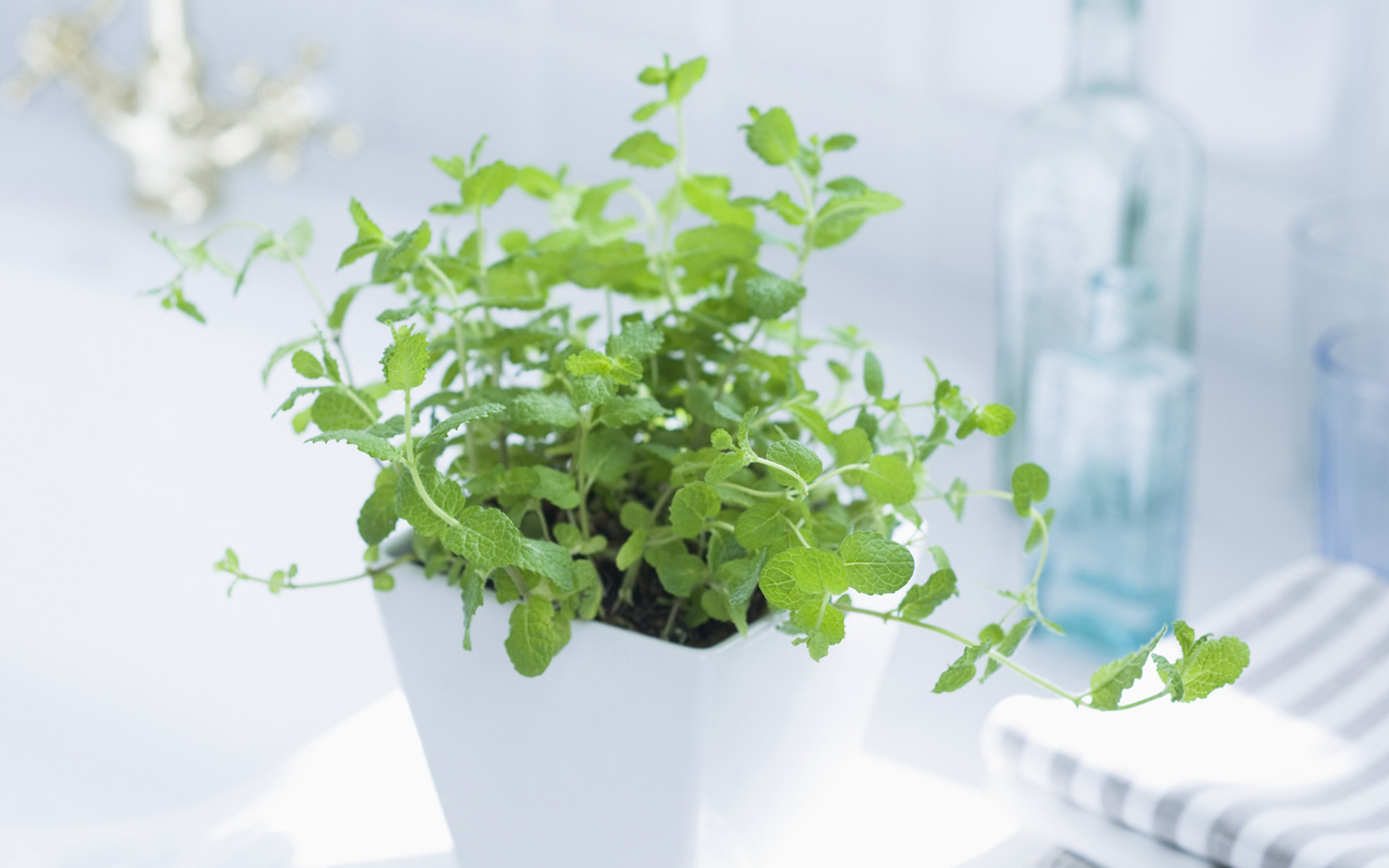 央視***主持人朱迅因癌癥離開大屏幕，這7個(gè)壞習(xí)慣最容易得癌癥！